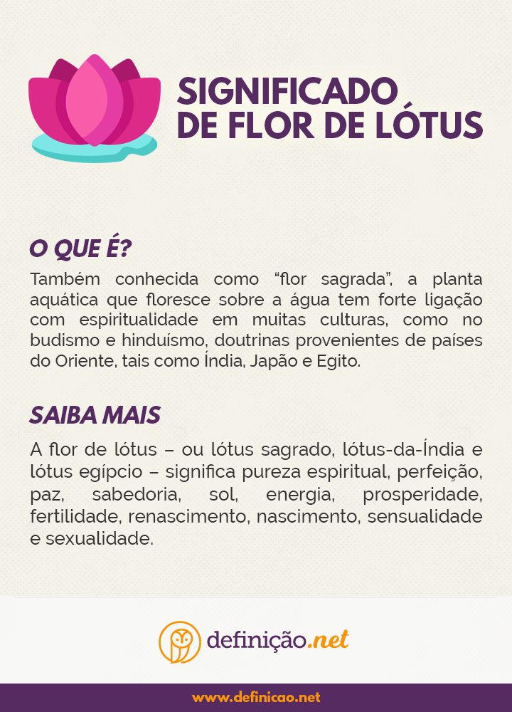 infográfico sobre flor de lótus