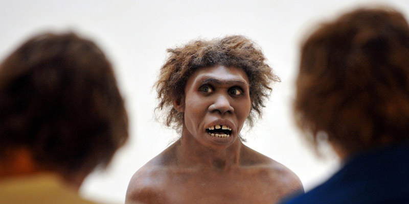 Neandertais