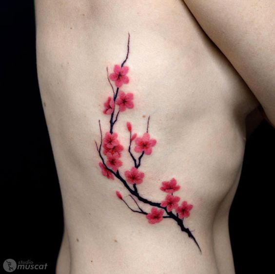 significado da flor de cerejeira