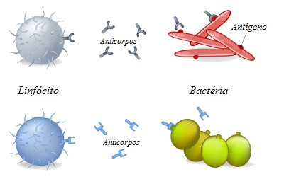 o que são anticorpos
